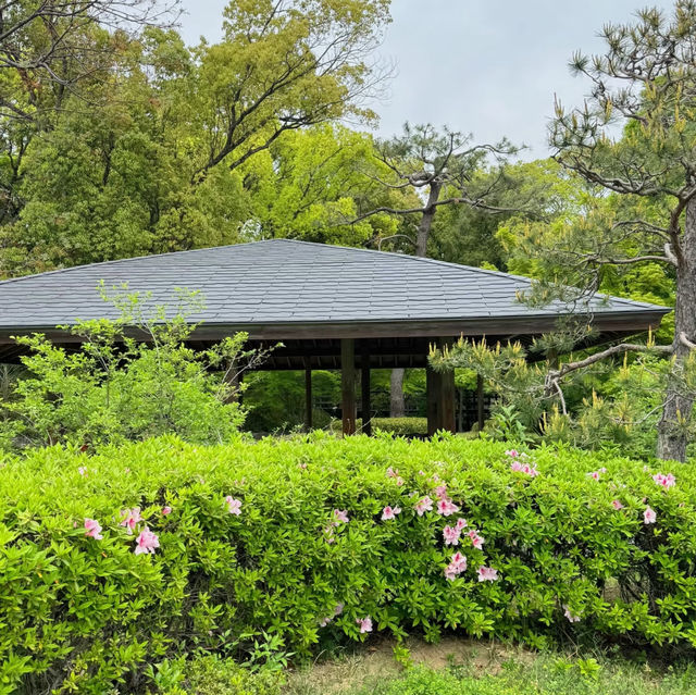 石神井公園 | 寧靜中的綠意