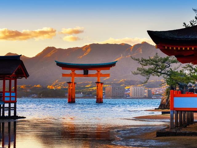 国内旅行攻略｜四季折々の絶景と文化を満喫する旅