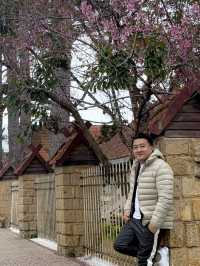 Da Lat in #April Blooms: A Review of the City of Eternal Spring