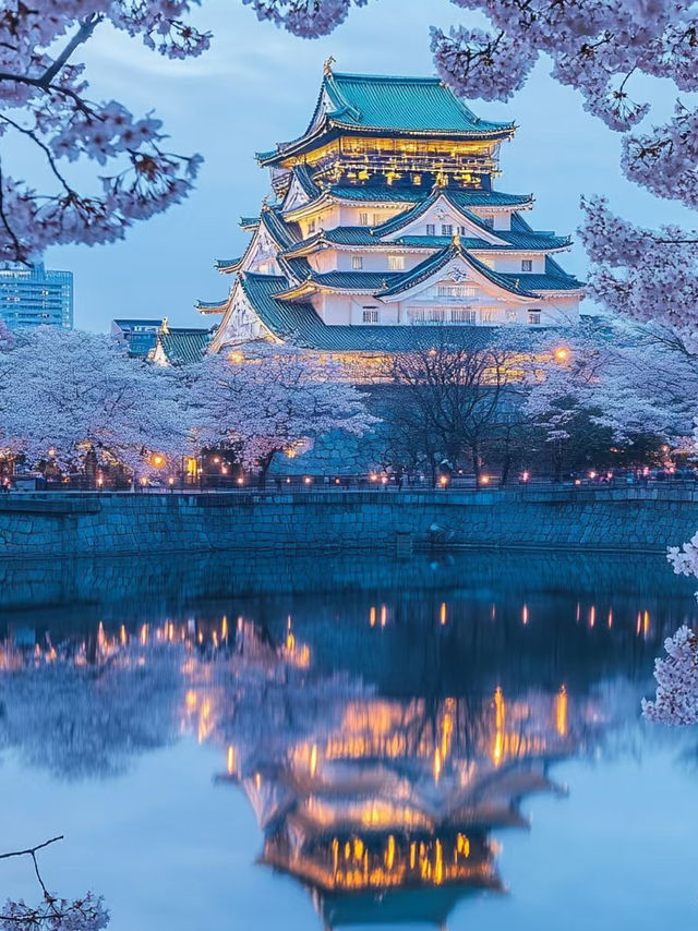 Sakura Splendor at Osaka Castle Park