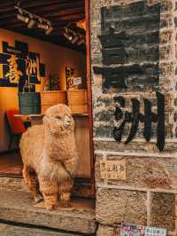 Hidden Gem of Dali: A Perfect Half-Day Escape to Xizhou Ancient Town (喜洲古镇)