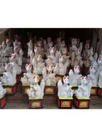 【鎌倉】鳥居が並ぶ🦊佐助稲荷神社