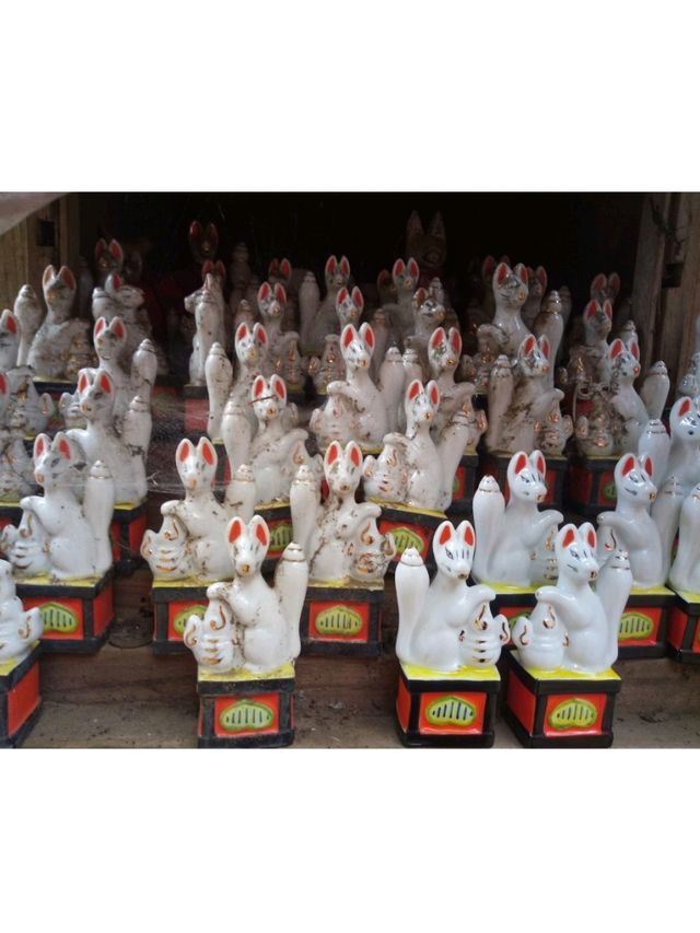 【鎌倉】鳥居が並ぶ🦊佐助稲荷神社