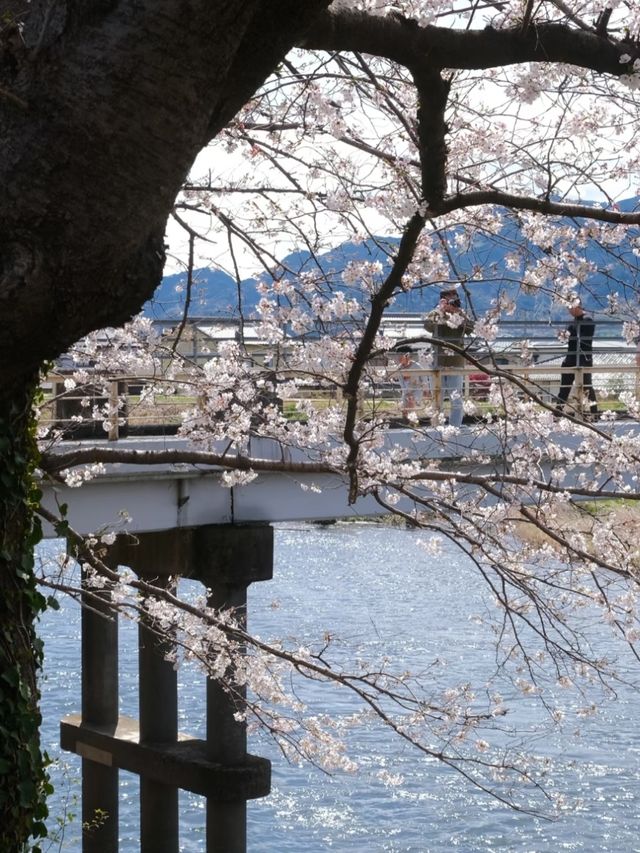 At Ryuganbuchi, Spring Floats Quietly On the River Breeze.