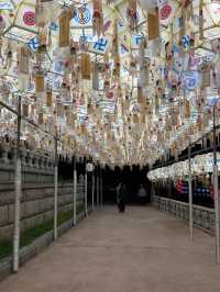 연등들이 밤하늘을 수놓는 삼광사 연등축제🏮