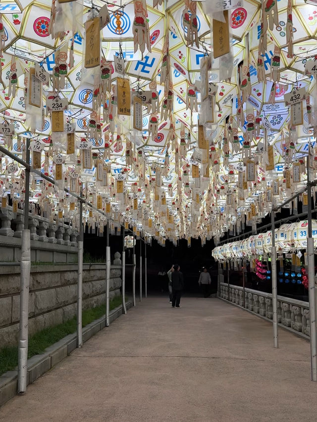 연등들이 밤하늘을 수놓는 삼광사 연등축제🏮