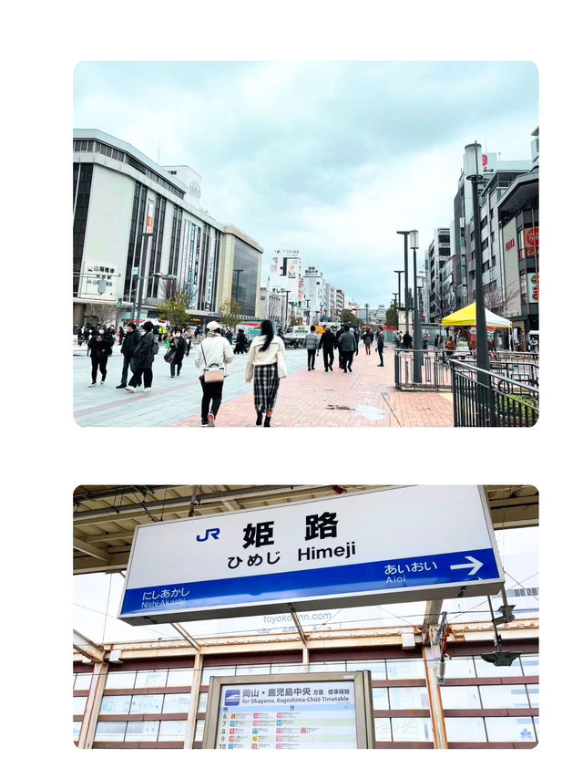 【兵庫🏯姫路】コスパ良過ぎ‼️800円で大満足♡昭和を感じる定食屋さん