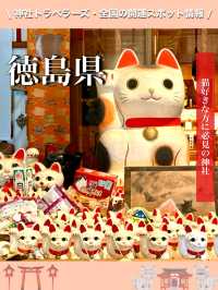 【徳島県】猫好きな方に必見の神社