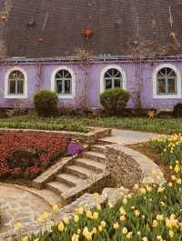Spring Blooms and Serene Landscapes