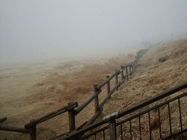 避雷：阿蘇火山草千里行程