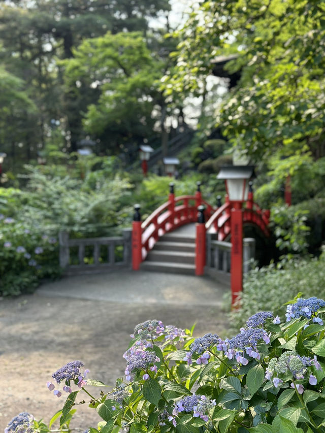 【埼玉×熊谷】境内にある平和の塔と紫陽花