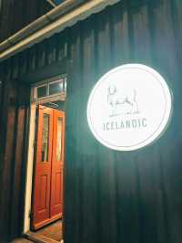Seals, Soup & Snæfellsnes Wonders – A Magical Day 8 in Iceland!🇮🇸
