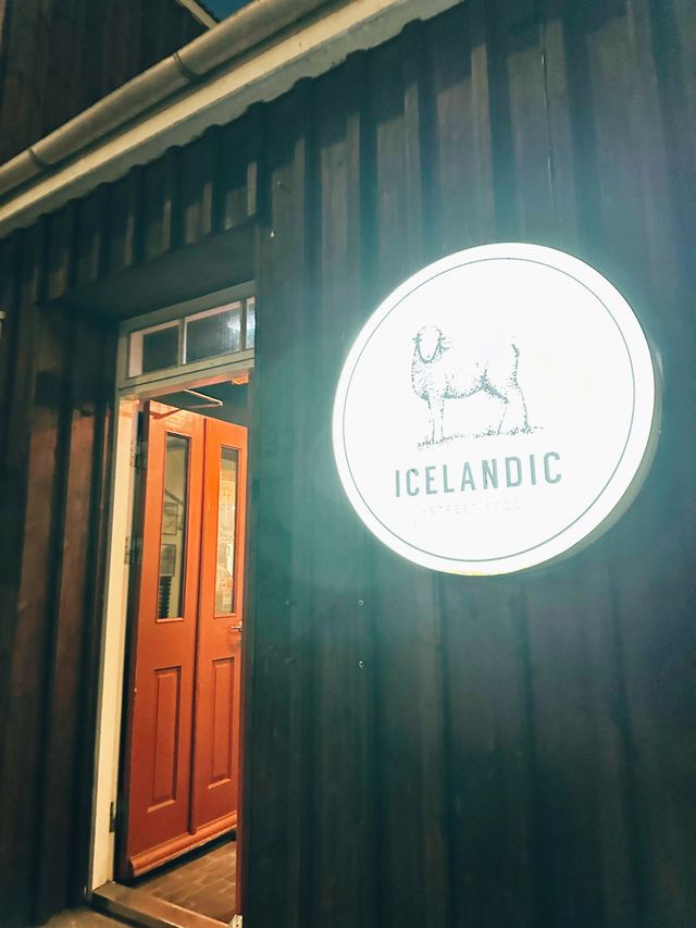 Seals, Soup & Snæfellsnes Wonders – A Magical Day 8 in Iceland!🇮🇸