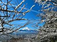 Fuji San