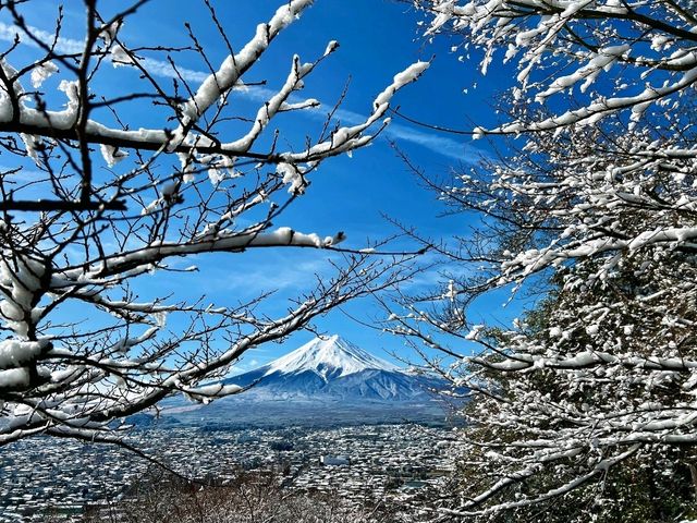 Fuji San