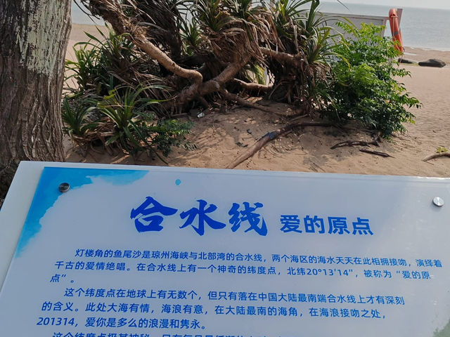 湛江南極村