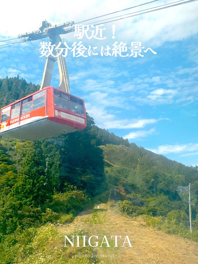 ロープウェイに乗って景色を楽しめる【新潟】