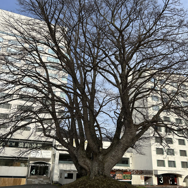東京苗場王子大飯店