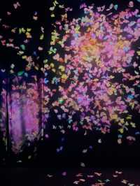 Team Lab Forest Fukuoka