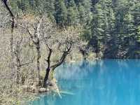 Jiuzhaigou # Part2 สวยเกินบรรยาย 