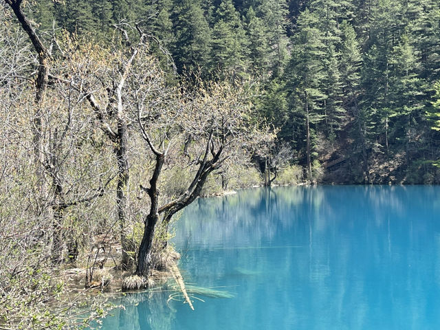 Jiuzhaigou # Part2 สวยเกินบรรยาย 