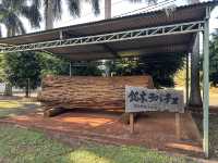 【イグアス日本人居住地】南米に息づく“もうひとつの日本”