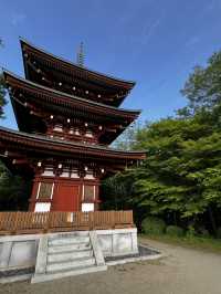 「なんで誰も教えてくれなかったの…？」岡寺に立った瞬間、思わずそんな言葉がこぼれた🇯🇵✈️🌏 