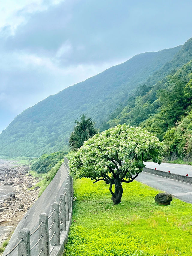 從山到海，福隆鐵馬行的美景全收錄