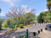 The Stunning views at Yangmingshan National Park, Taipei, Taiwan
