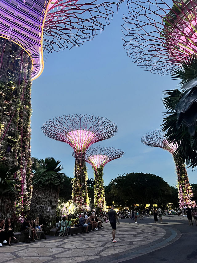 How to spend a day in Singapore 🩷