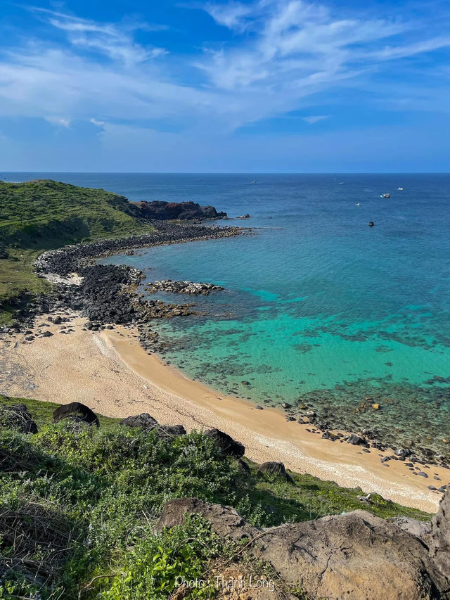 Vitamin Sea