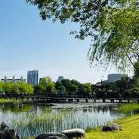 Exploring the Hanbat Arboretum