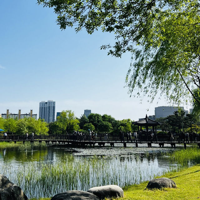 Exploring the Hanbat Arboretum
