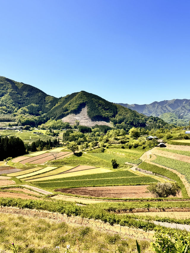 美麗的高千穗農業遺產