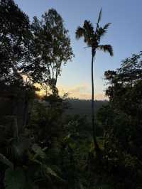 Exploring Ubud A Serene Escape into Bali