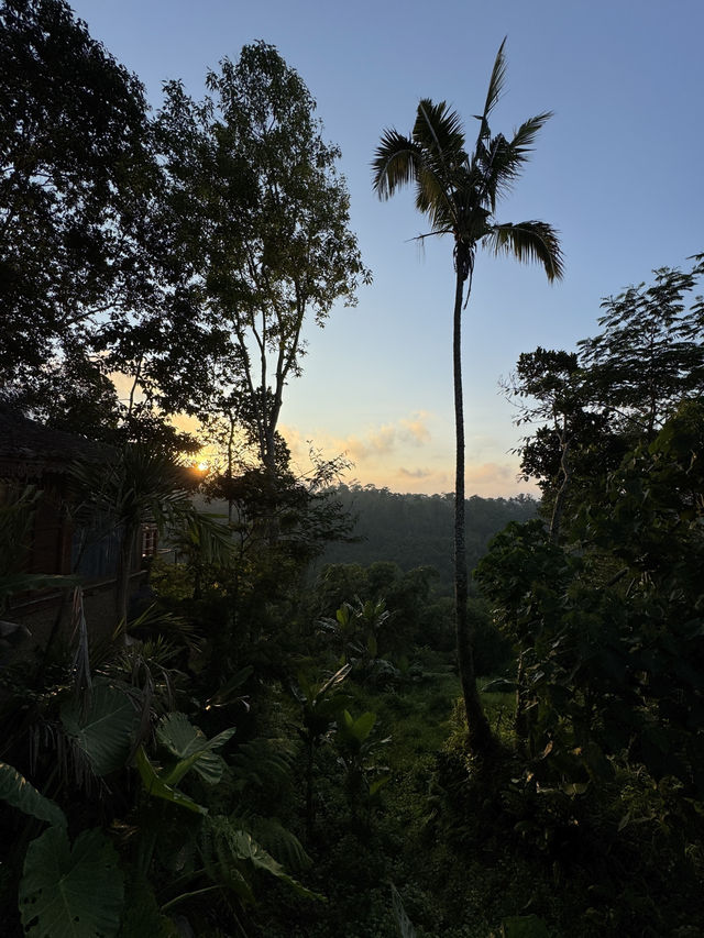Exploring Ubud A Serene Escape into Bali
