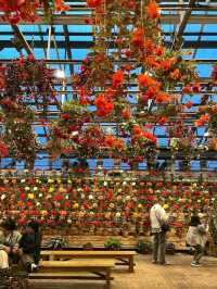 Title: Nabana no Sato – A Year-Round Floral and Illuminated Wonderland in Mie, Japan