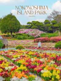 Nokonoshima Island Park สวรรค์คนรักดอกไม้ฟุกุโอกะ