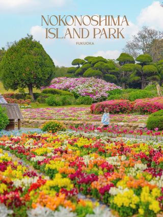 Nokonoshima Island Park, a paradise for flower lovers in Fukuoka