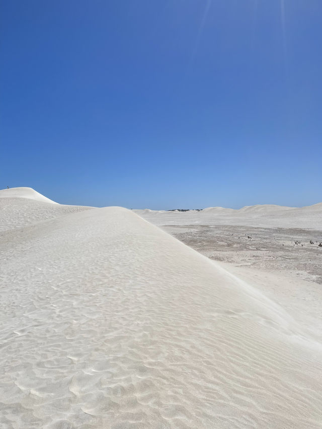 Lancelin Sand Dunes