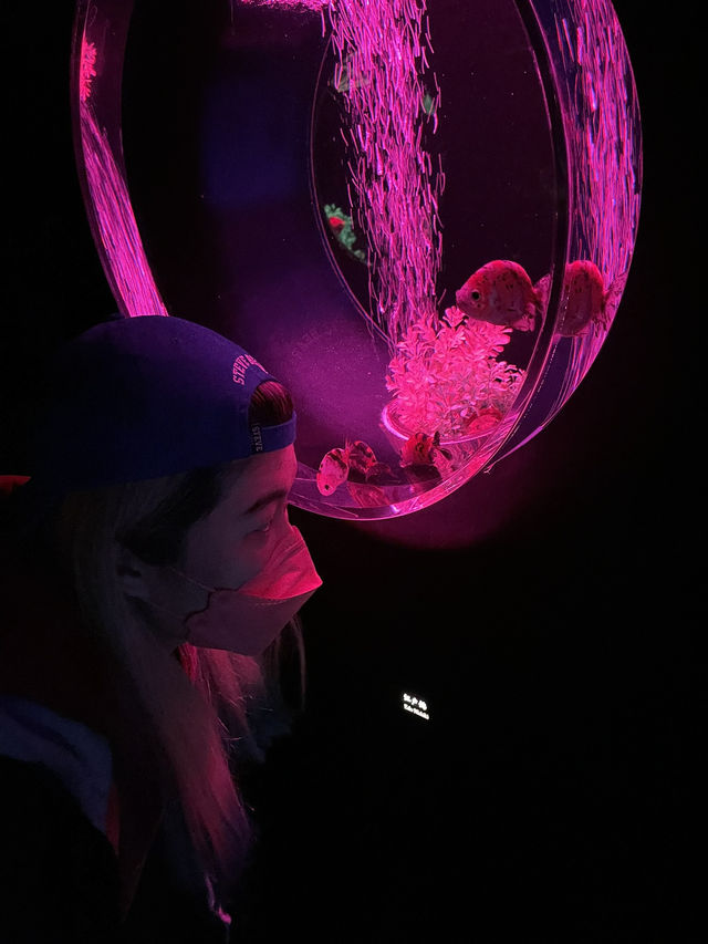 【銀座的夢幻秘境！藝術與水族的奇幻融合體驗🐠✨】