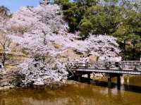 Sakuramon-bashi Bridge