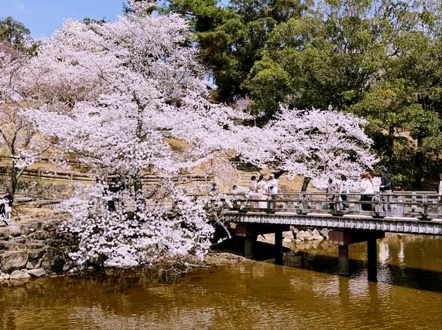 Sakuramon-bashi Bridge