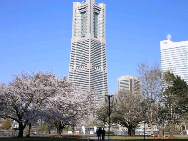 Yokohama Diaries: Coastal Breezes, Skyline Views & Cultural Gems