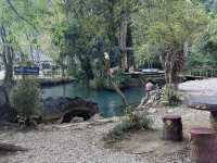 Just a day at the old swimming hole!