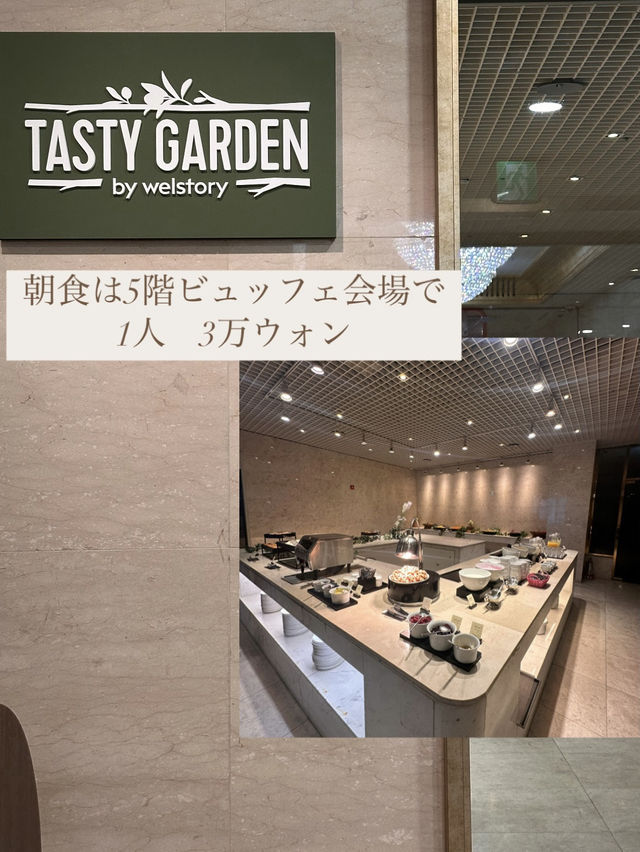 ［大邱］スタバ併設の四つ星ホテル⭐️⭐️⭐️