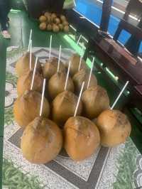 MEKONG DELTA & VINH TRANG PAGODA VIP TOUR
