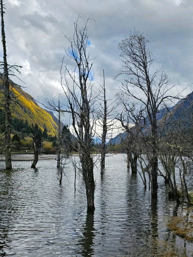 Springtime Magic,Like Walking Into a Postcard