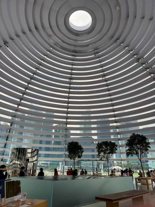 A Luxury Icon in the Sky: Views from Marina Bay Sands