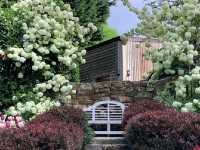 Pashley Manor Gardens – A Timeless English Country Garden